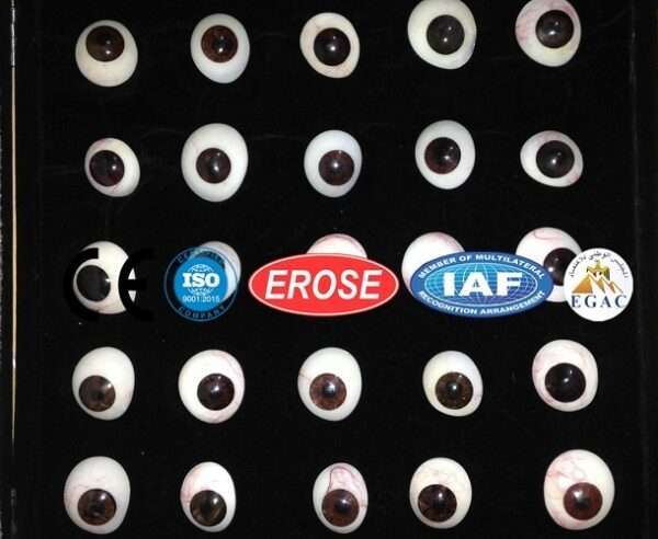 Artificial Eye Brown Colour