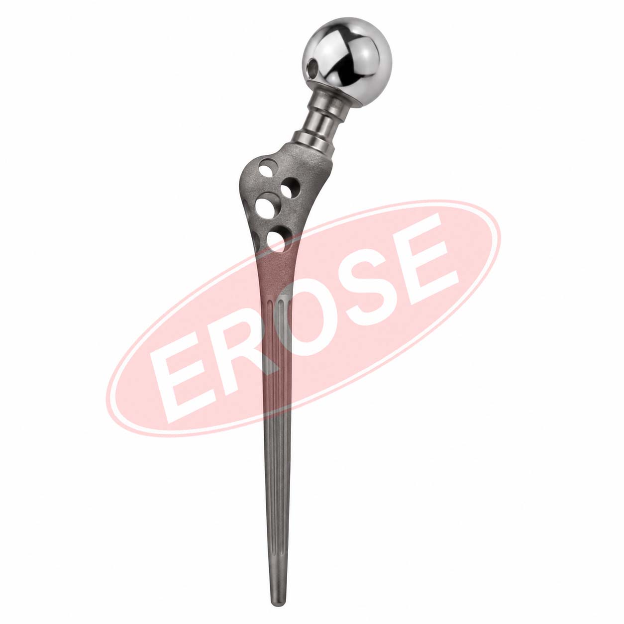 Bipolar Hip Prosthesis (Fenestrated)