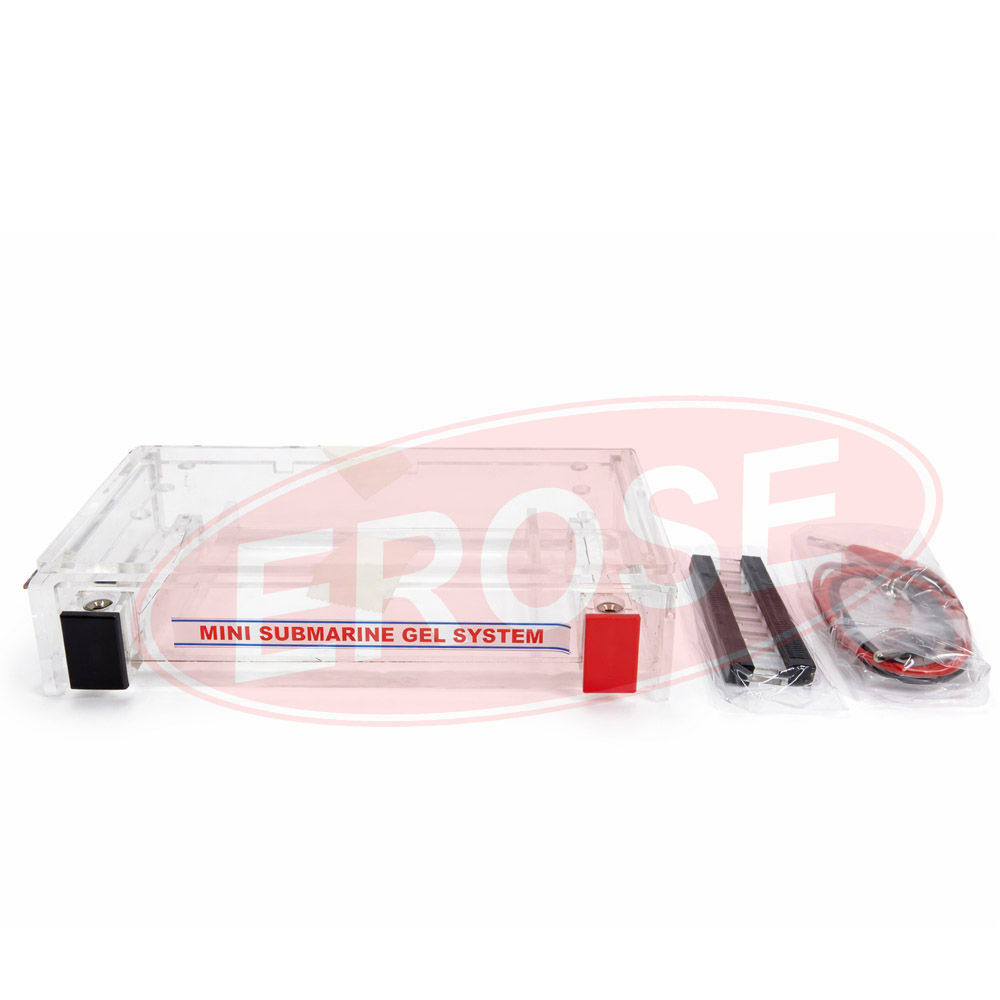Mini Submarine Gel Electrophoresis System