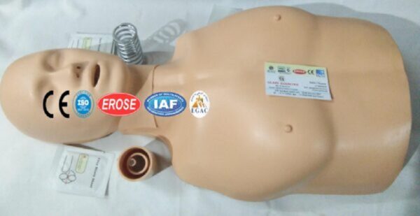 Half Body CPR Training Manikins Model