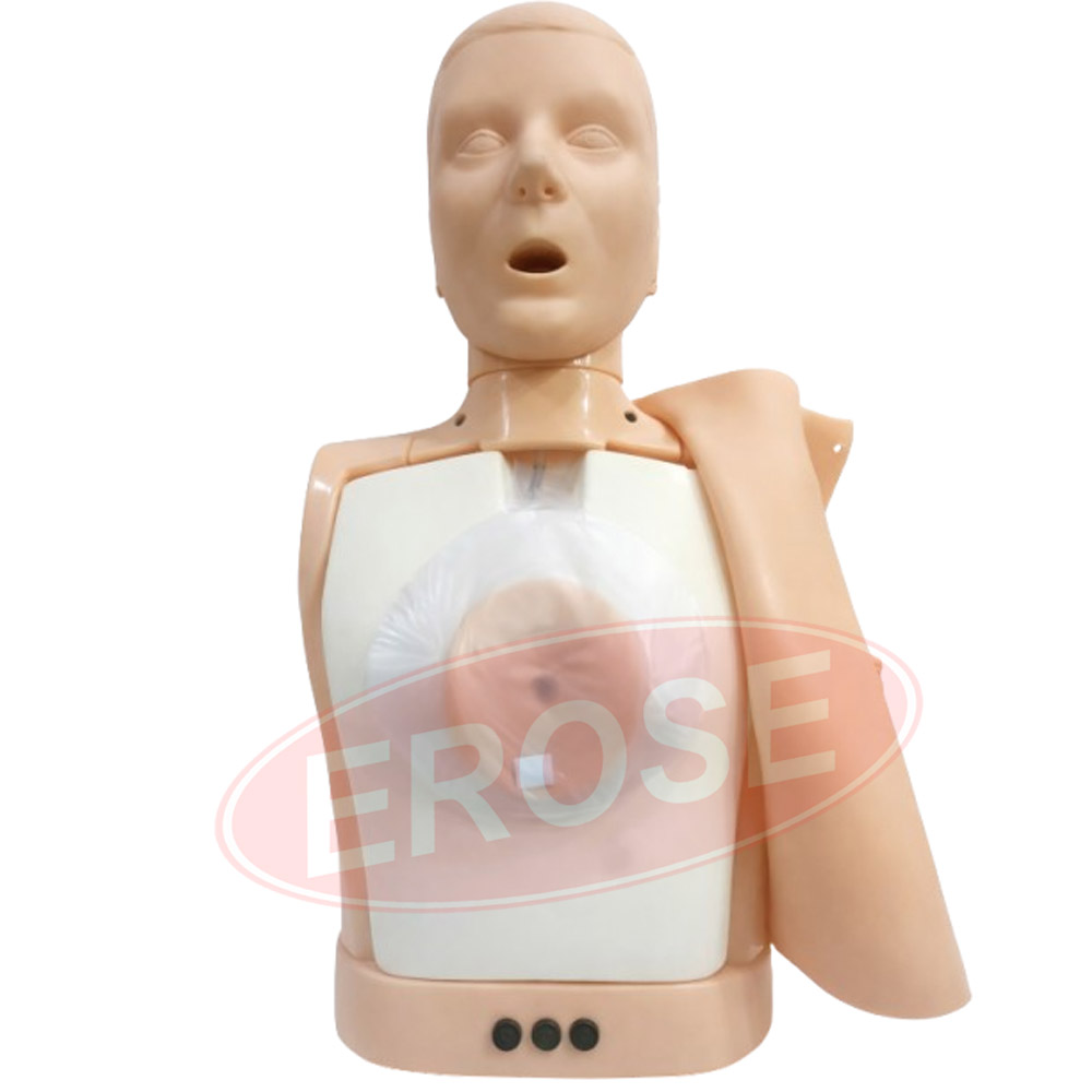 Half Body CPR Training Model