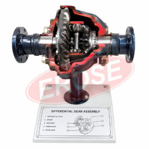 Differential Gear Assembly