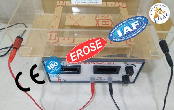 Horizontal Electrophoresis Apparatus