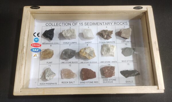 Collection of 15 Sedimentary Rocks