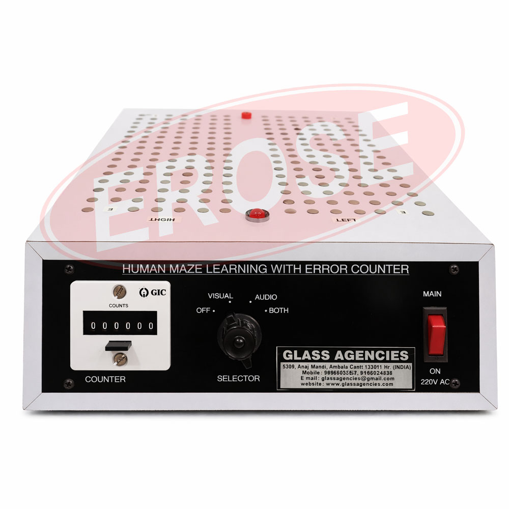 Human Maze with Error Counter