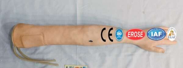 Multifunctional Adult IV Training Arm Model