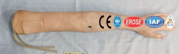 IV Training Arm Model