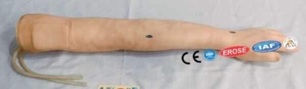 Multifunctional Adult IV Training Arm Supplier