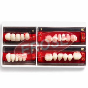Dental acrylic teeth set