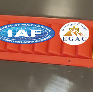 Shoulder Abduction Ladder Plastic