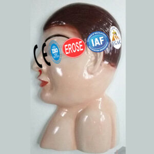 Death by Drowning, Forensic Model