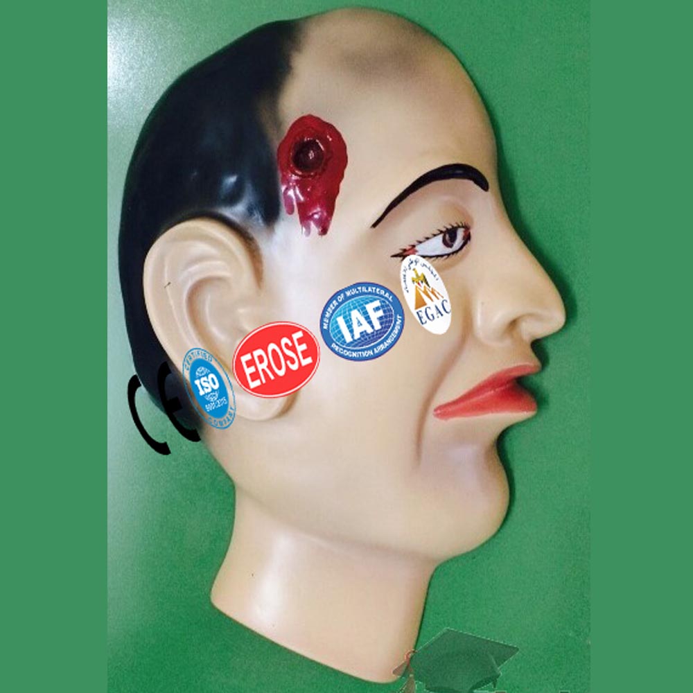 Entrance Wound, Forensic Model