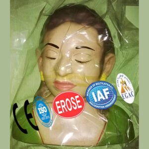 Flowing Of Fluids From The Angle Of Mouth And Nostrils, Forensic Model