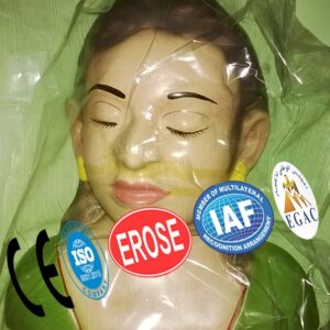 Flowing of Fluids from the angle of mouth and Nostrils, Forensic Model