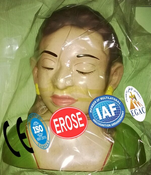 Flowing of Fluids from the angle of mouth and Nostrils, Forensic Model