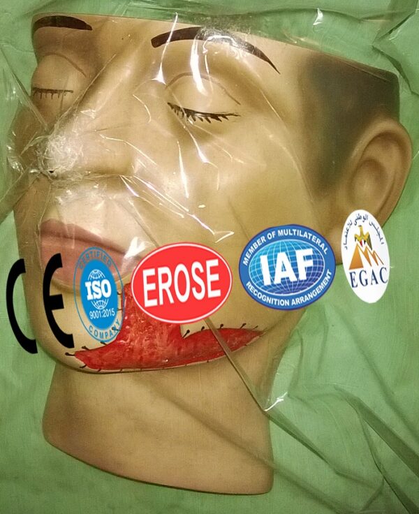 Model Revealing Emphasis of suture Removal for studing the wound, Forensic Model