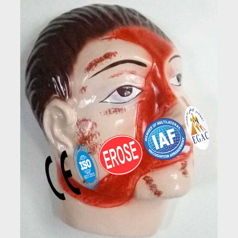 Road Accident, Forensic Model