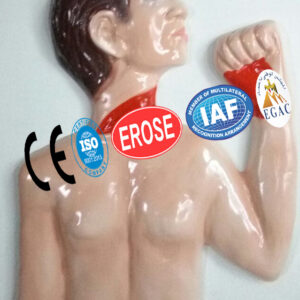 Suicidal Cut, Forensic Model