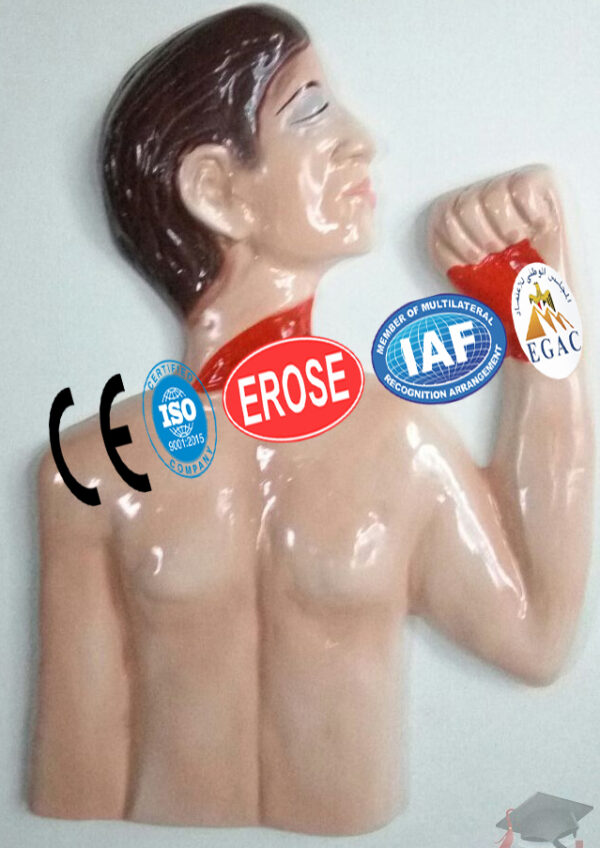 Suicidal Cut, Forensic Model