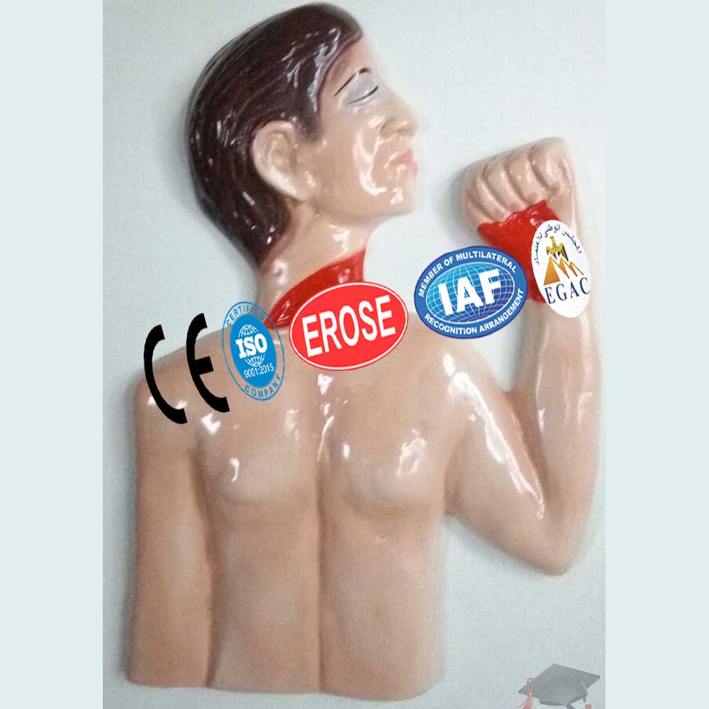 Suicidal Cut, Forensic Model
