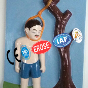 Suicidal Hanging, Forensic Model
