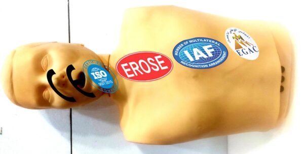 Half Body CPR Training Model