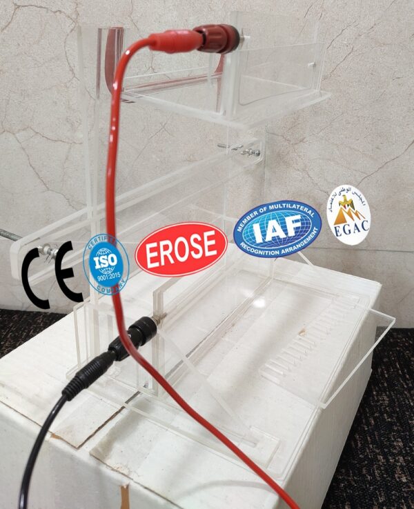 Gel Electrophoresis Apparatus Vertical