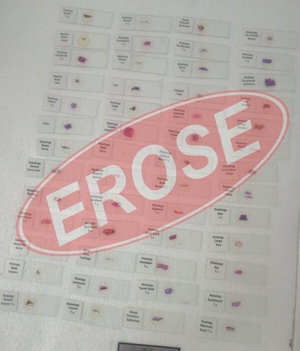 Histology Slide Set