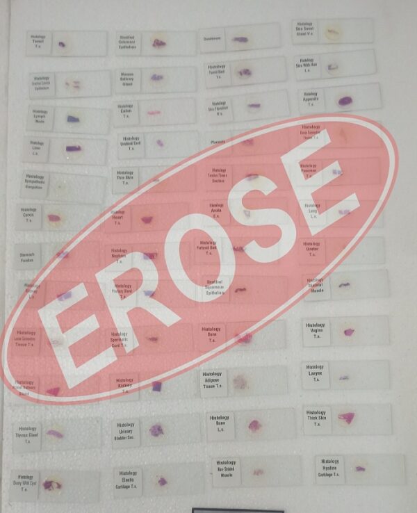 Histology Slide Set