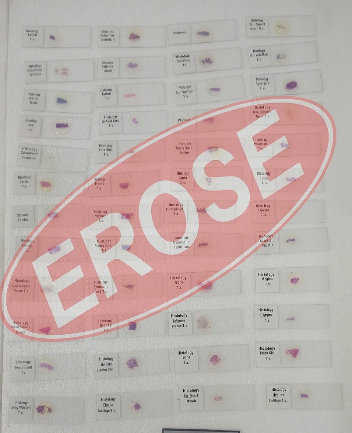 Histology Slide Set