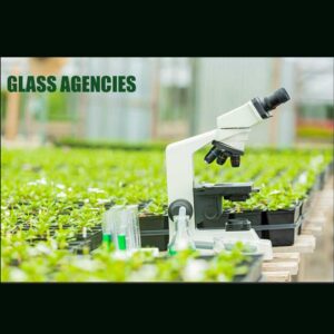 Educational Botany Model