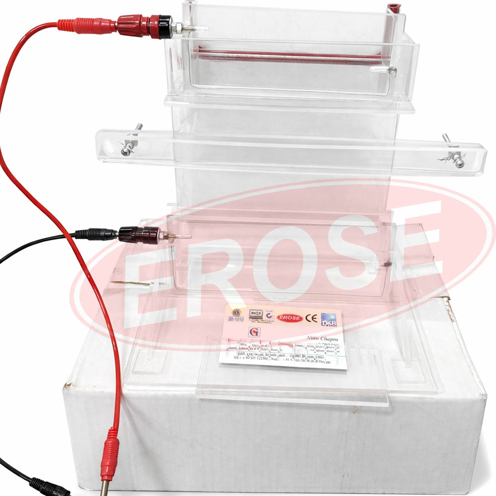 Vertical Electrophoresis Apparatus