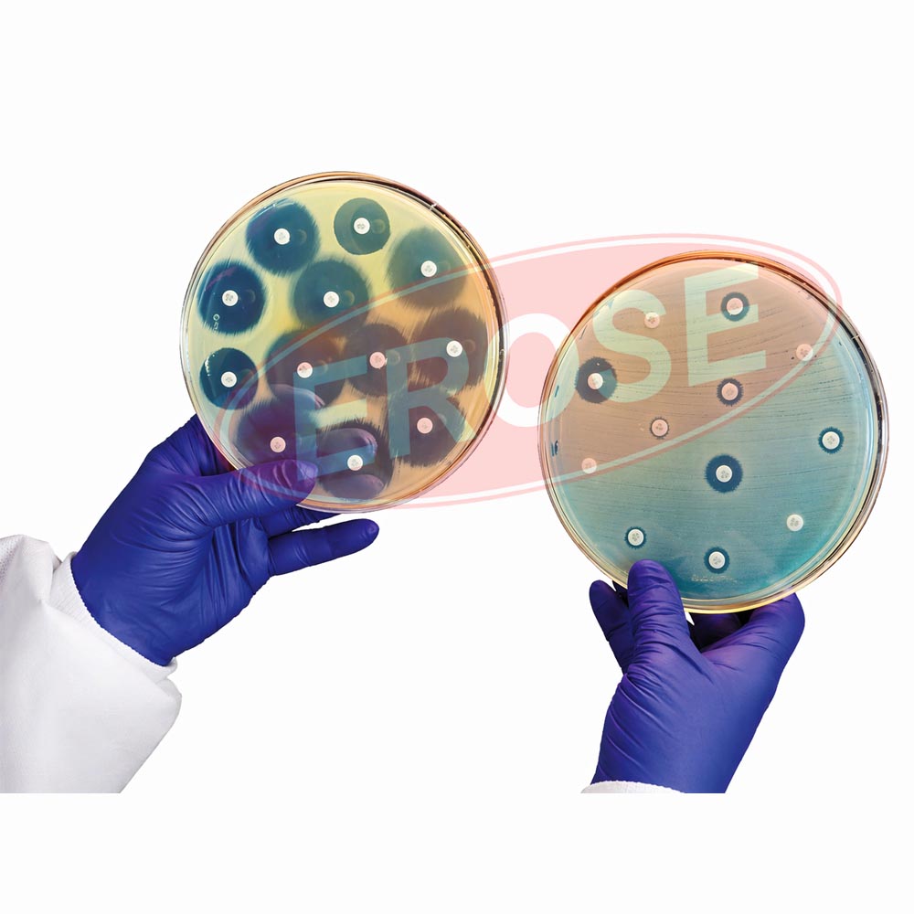 Antimicrobial Susceptibility Discs