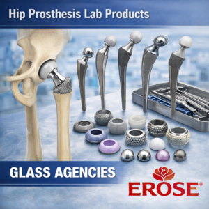 Hip Prosthesis
