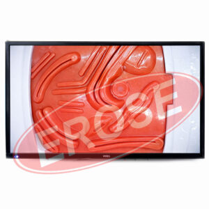 Laparoscopic Simulator Endo Pelvic Trainer