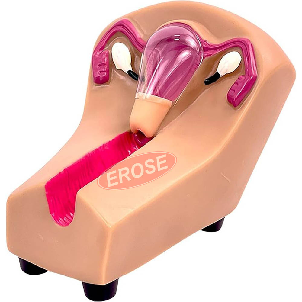 IUD Intrauterine Device Training Simulator Model